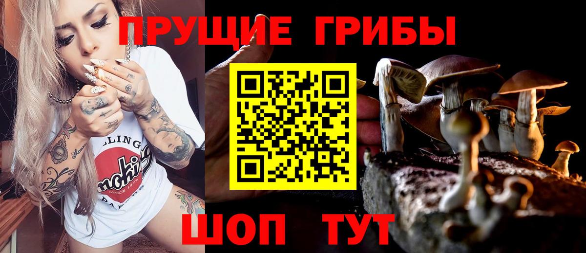 Казань  Галлюциногенные грибы Psilocybe  Вход с VPN 